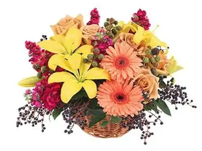 Illusion Flowers, Google photo 2