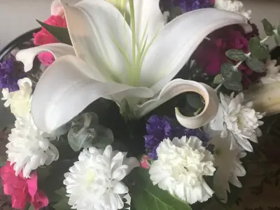 Illusion Flowers, Google photo 4