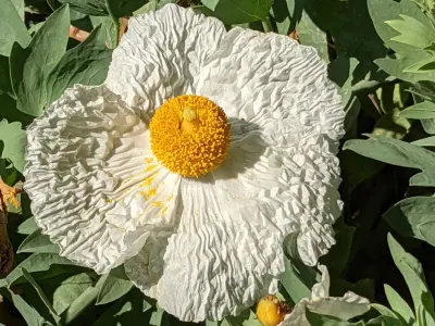 Mary Vagle Nature Center, Google photo 4